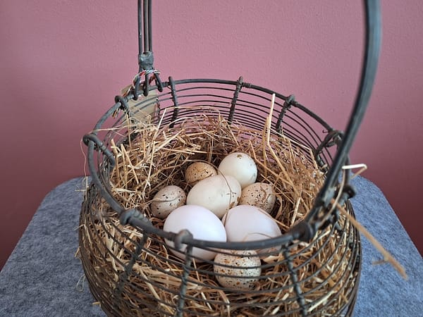 Paasaanbieding: Eiermand draad - Afbeelding 2